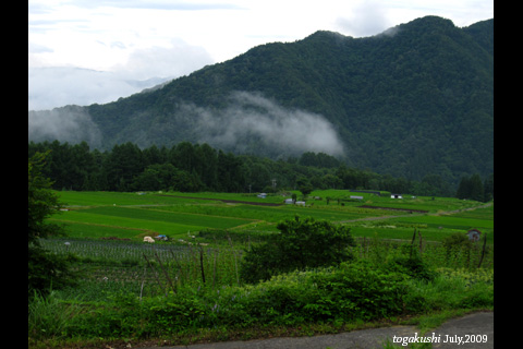 f:id:n0309:20090811021839j:image