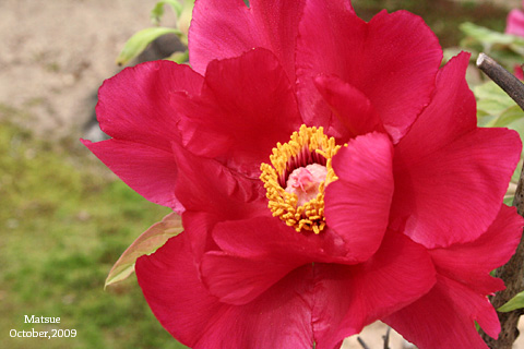 f:id:n0309:20091221005016j:image