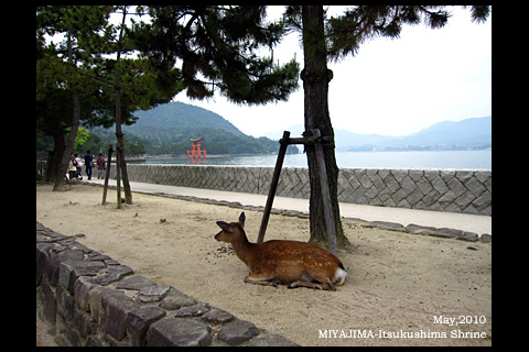 f:id:n0309:20100613174122j:image