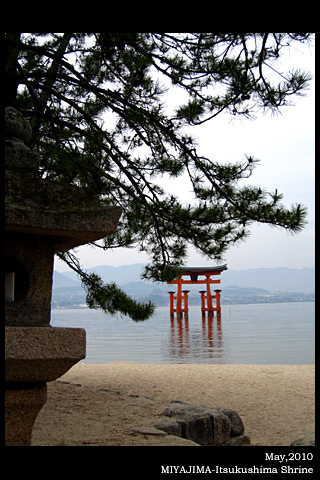 f:id:n0309:20100613174128j:image