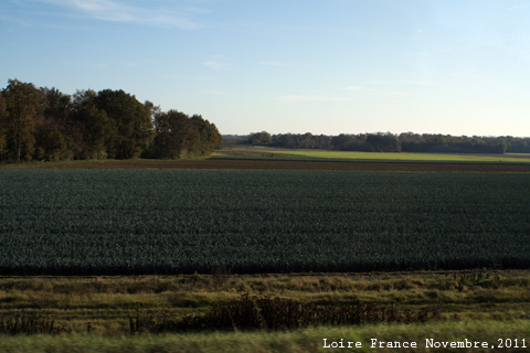 f:id:n0309:20111120224300j:image