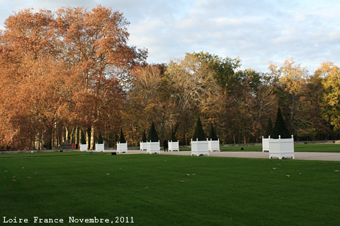 f:id:n0309:20111121003700j:image