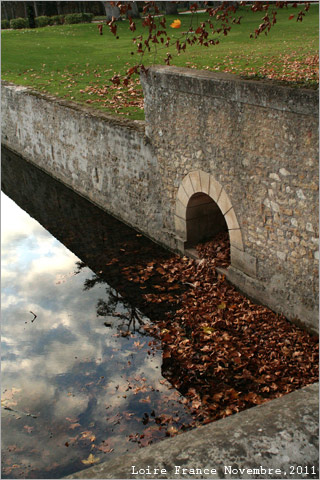 f:id:n0309:20111121004100j:image