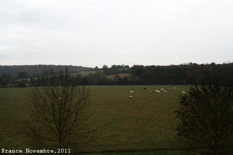 f:id:n0309:20111121185000j:image