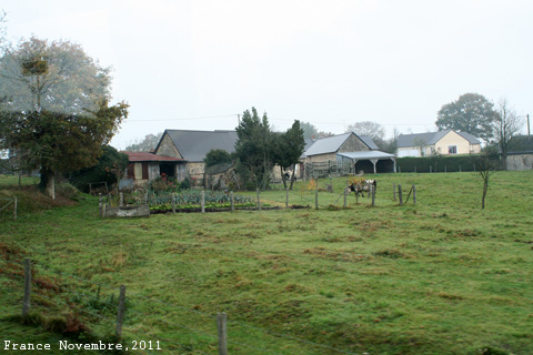 f:id:n0309:20111121191800j:image