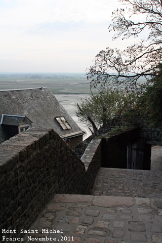 f:id:n0309:20111121223400j:image