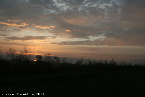 f:id:n0309:20111122164400j:image