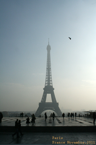 f:id:n0309:20111123202800j:image