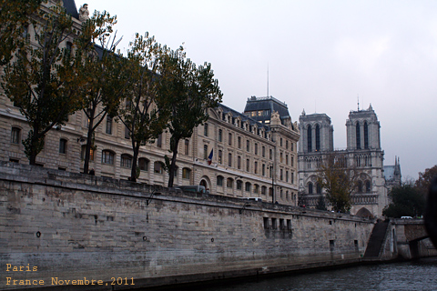 f:id:n0309:20111124010100j:image
