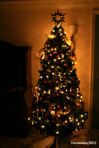 f:id:n0309:20121128174100j:image