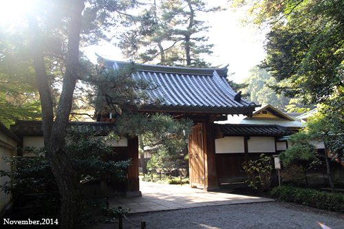 f:id:n0309:20141122133800j:image