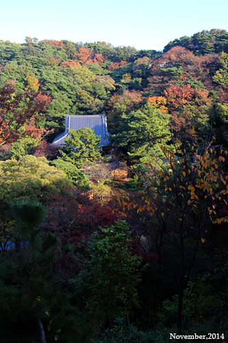 f:id:n0309:20141122143000j:image