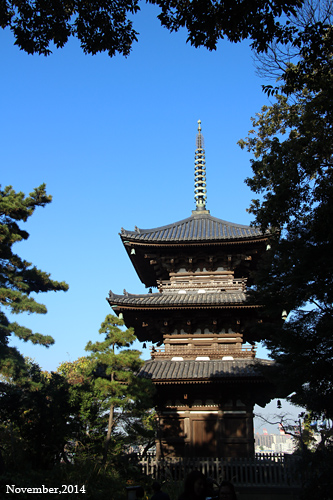f:id:n0309:20141122143100j:image