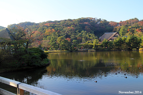 f:id:n0309:20141122145100j:image