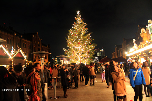 f:id:n0309:20141212214500j:image