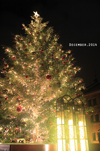 f:id:n0309:20141212215000j:image