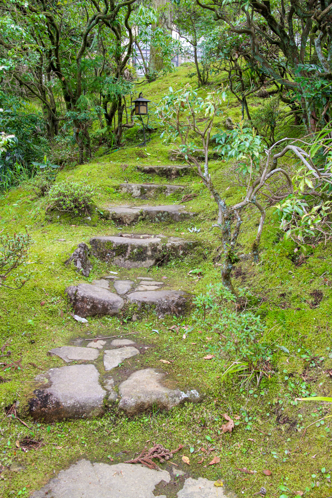 f:id:n0309:20150404141856j:image:h600