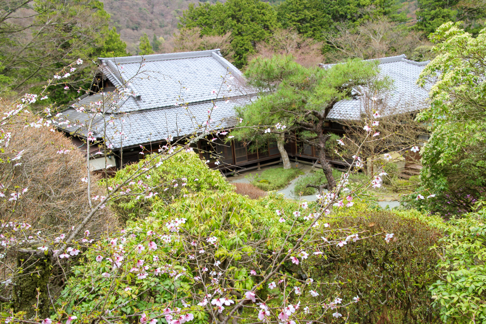 f:id:n0309:20150404142056j:image:w600