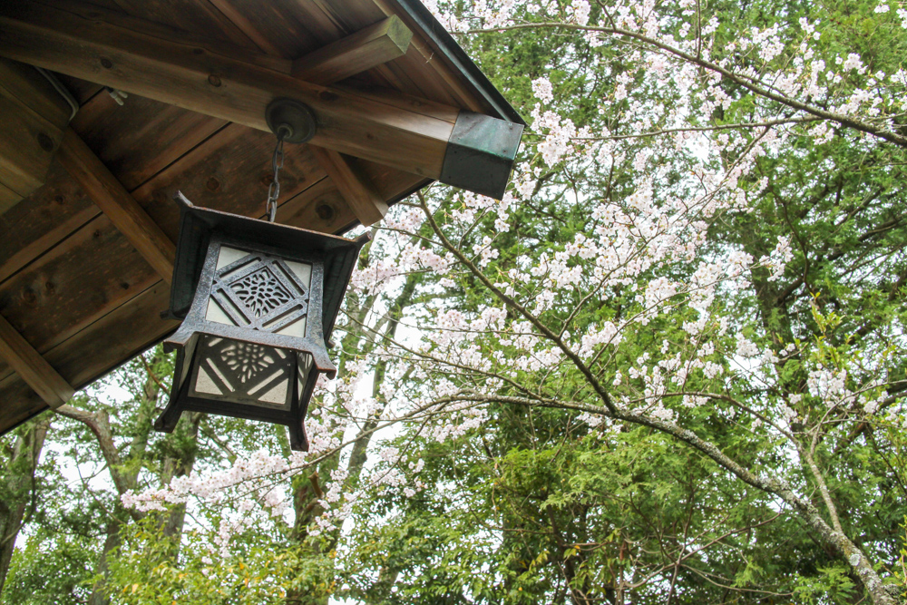 f:id:n0309:20150404142300j:image:w600