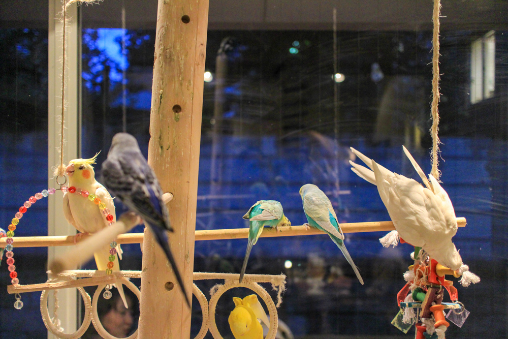 f:id:n0309:20150411181918j:image:w600