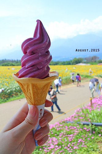 f:id:n0309:20150811110200j:image