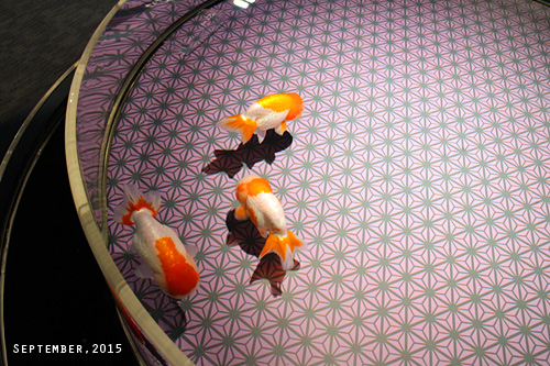 f:id:n0309:20150918151100j:image