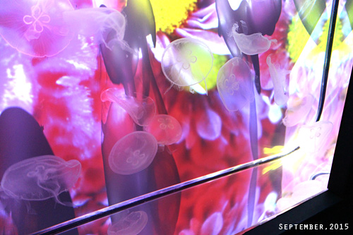 f:id:n0309:20150918152600j:image