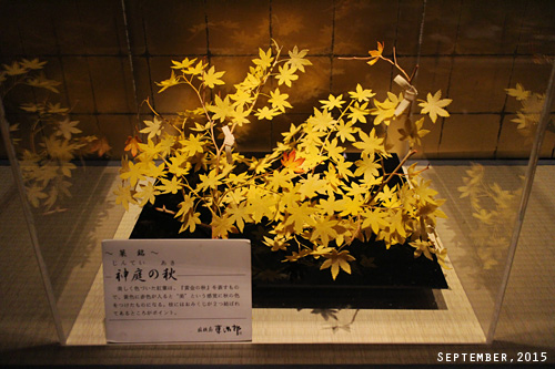 f:id:n0309:20150926133300j:image