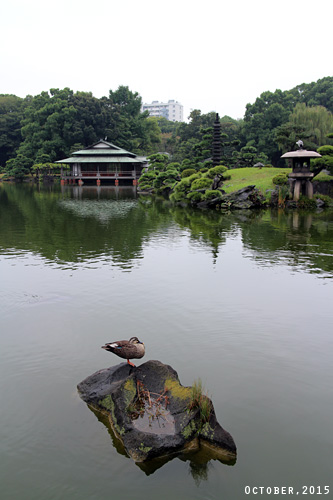 f:id:n0309:20151017104200j:image