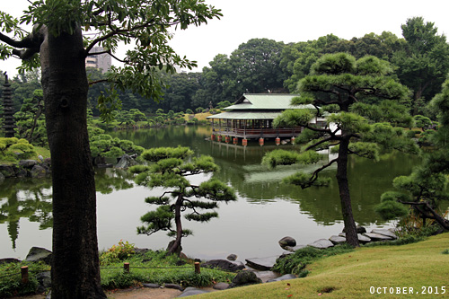 f:id:n0309:20151017104800j:image