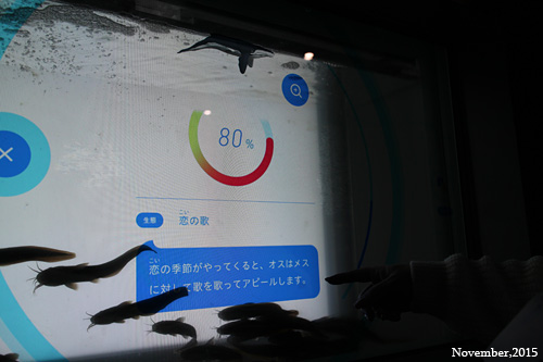f:id:n0309:20151116105300j:image