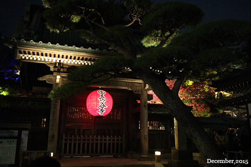 f:id:n0309:20151206172600j:image