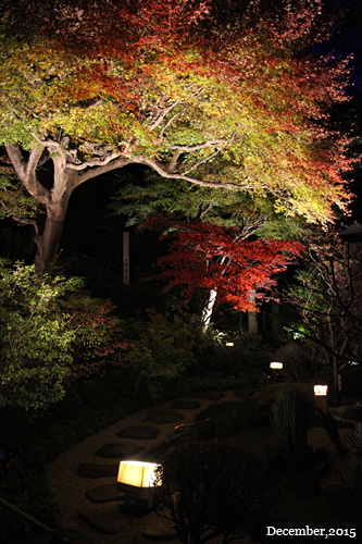 f:id:n0309:20151206180000j:image