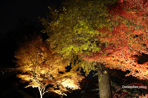 f:id:n0309:20151206181200j:image