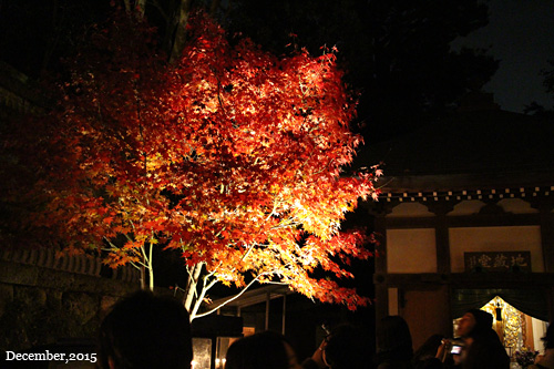 f:id:n0309:20151206181300j:image