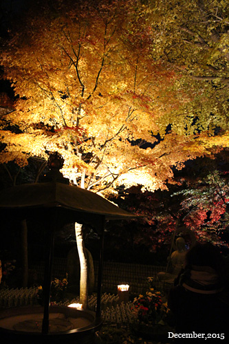 f:id:n0309:20151206181302j:image