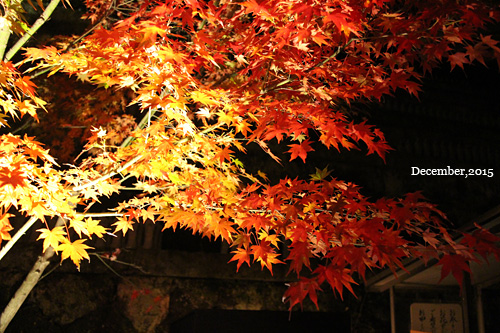 f:id:n0309:20151206181400j:image