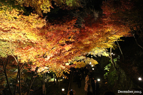 f:id:n0309:20151206181500j:image