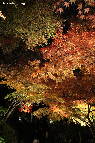 f:id:n0309:20151206182800j:image