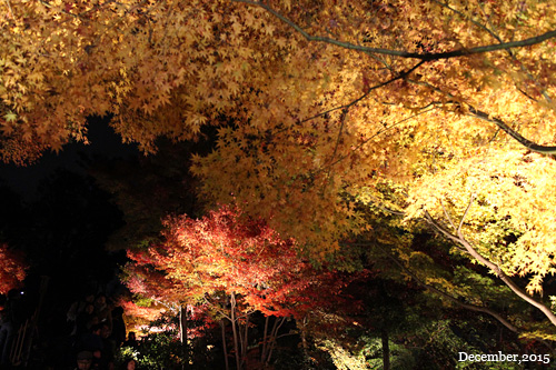 f:id:n0309:20151206183000j:image