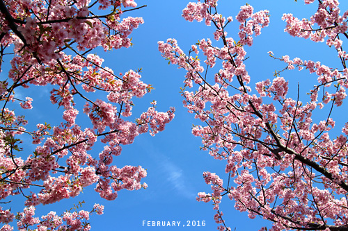 f:id:n0309:20160227101700j:image