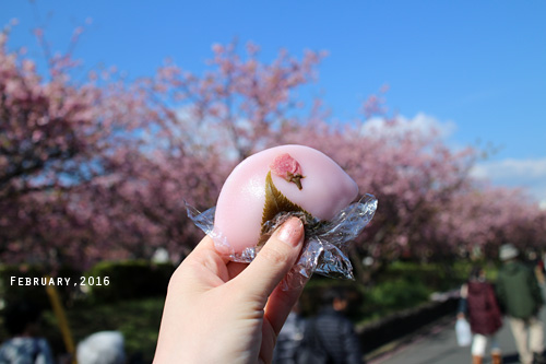 f:id:n0309:20160227103700j:image