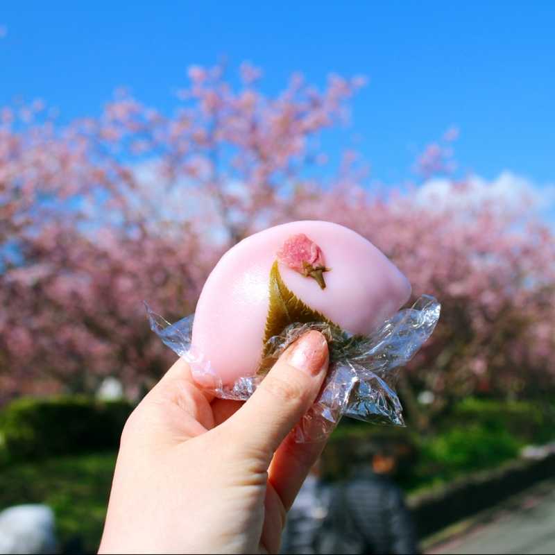 f:id:n0309:20160302205139j:image:w300