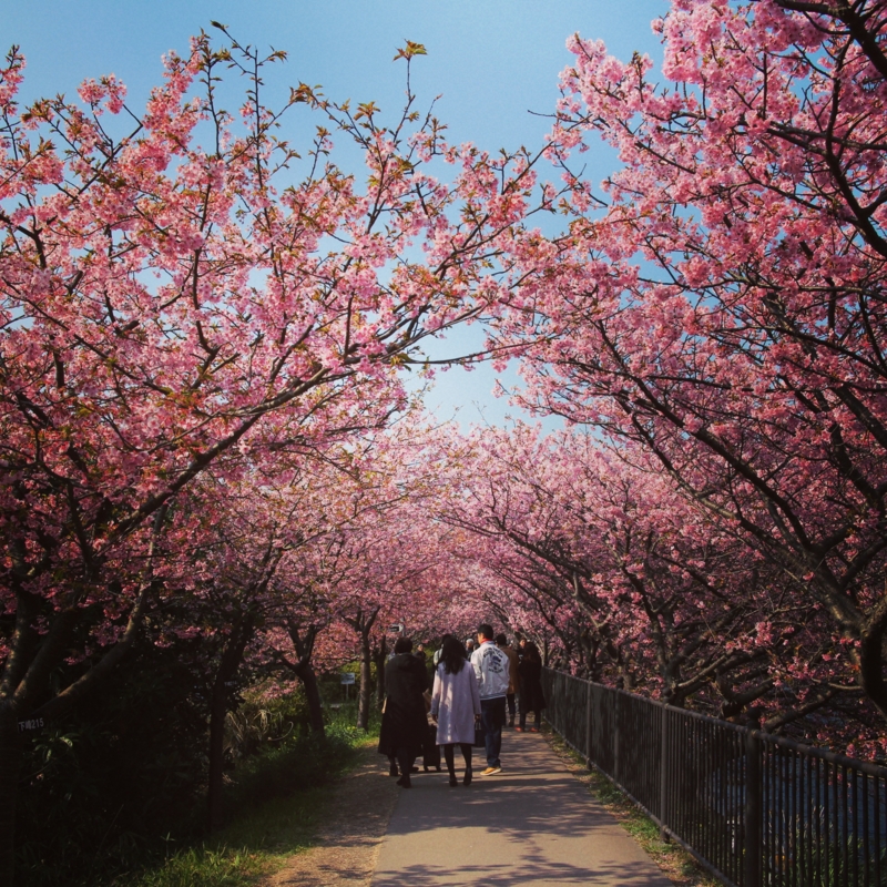 f:id:n0309:20160302205140j:image:w300