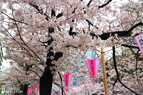 f:id:n0309:20160402125800j:image