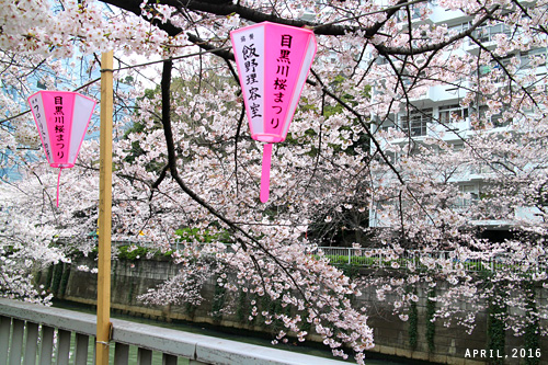 f:id:n0309:20160402125900j:image