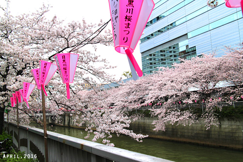 f:id:n0309:20160402130400j:image