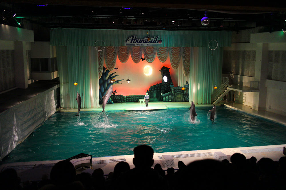 f:id:n0309:20161123132948j:image:w600