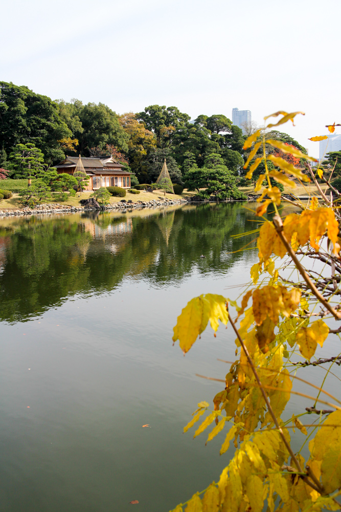 f:id:n0309:20161204110432j:image:h600