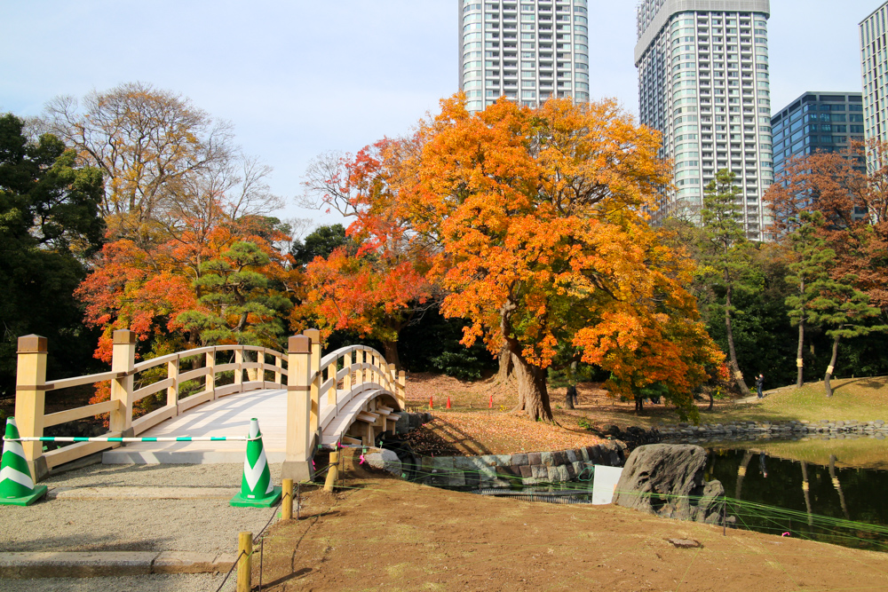 f:id:n0309:20161204110528j:image:w600